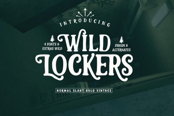Wild Lockers: Handwritten Fonts for Unique Design